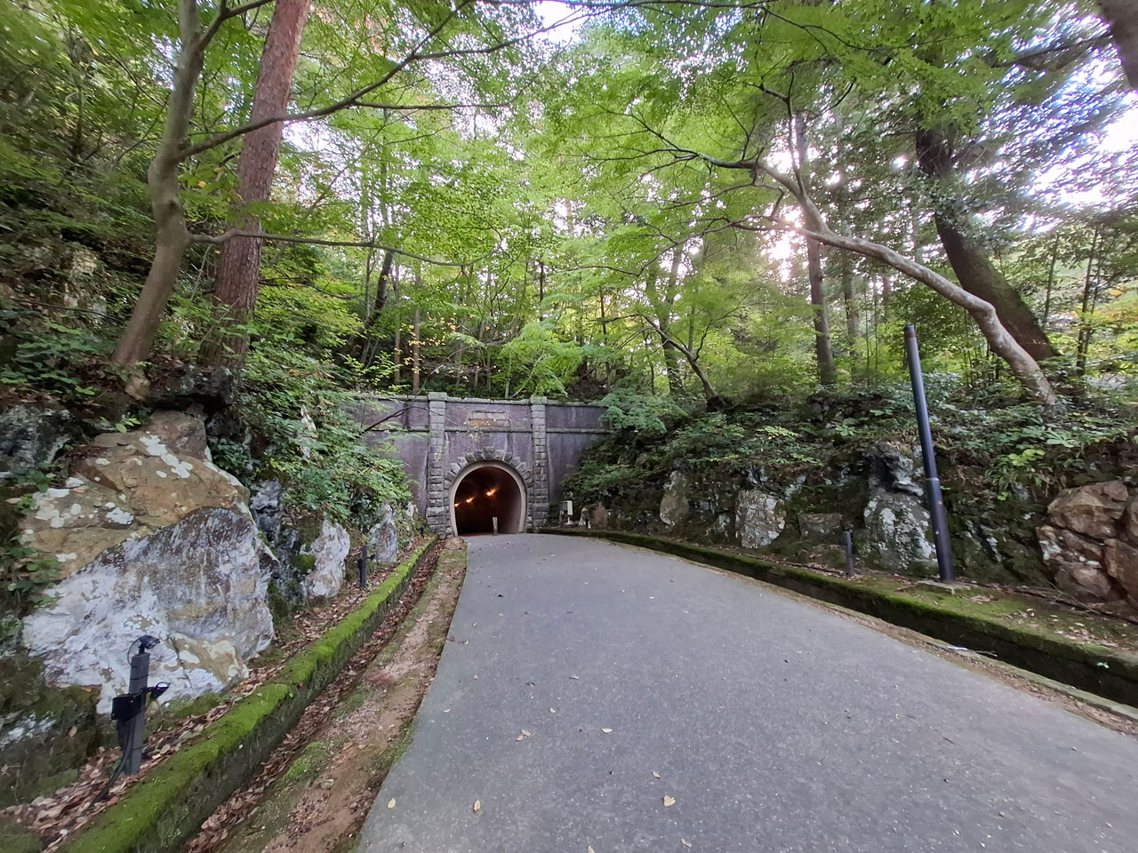 弥彦公園もみじ谷 入口のトンネル