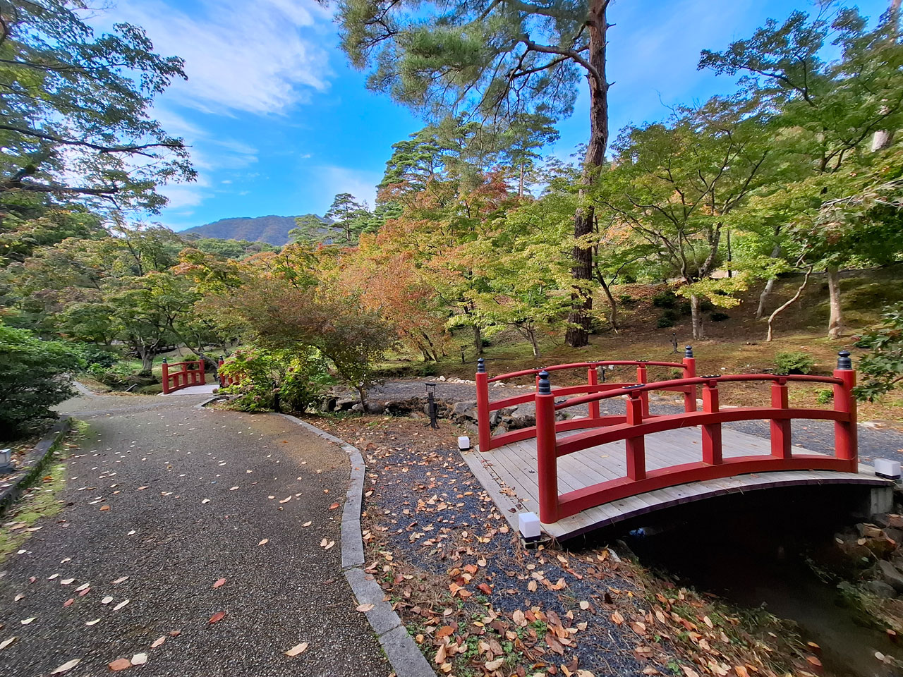 弥彦公園もみじ谷 紅葉の様子