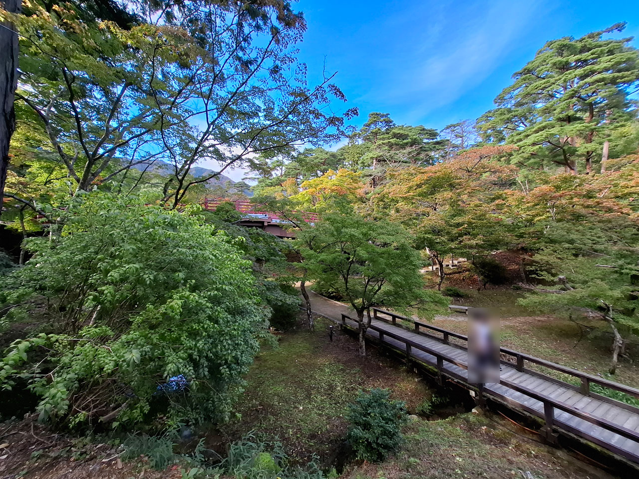 弥彦公園もみじ谷 観月橋が見えるアングル