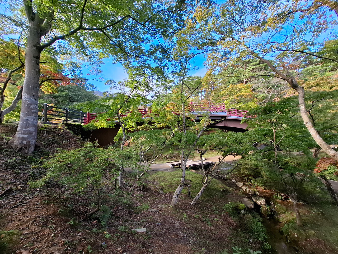 弥彦公園もみじ谷 平日の様子