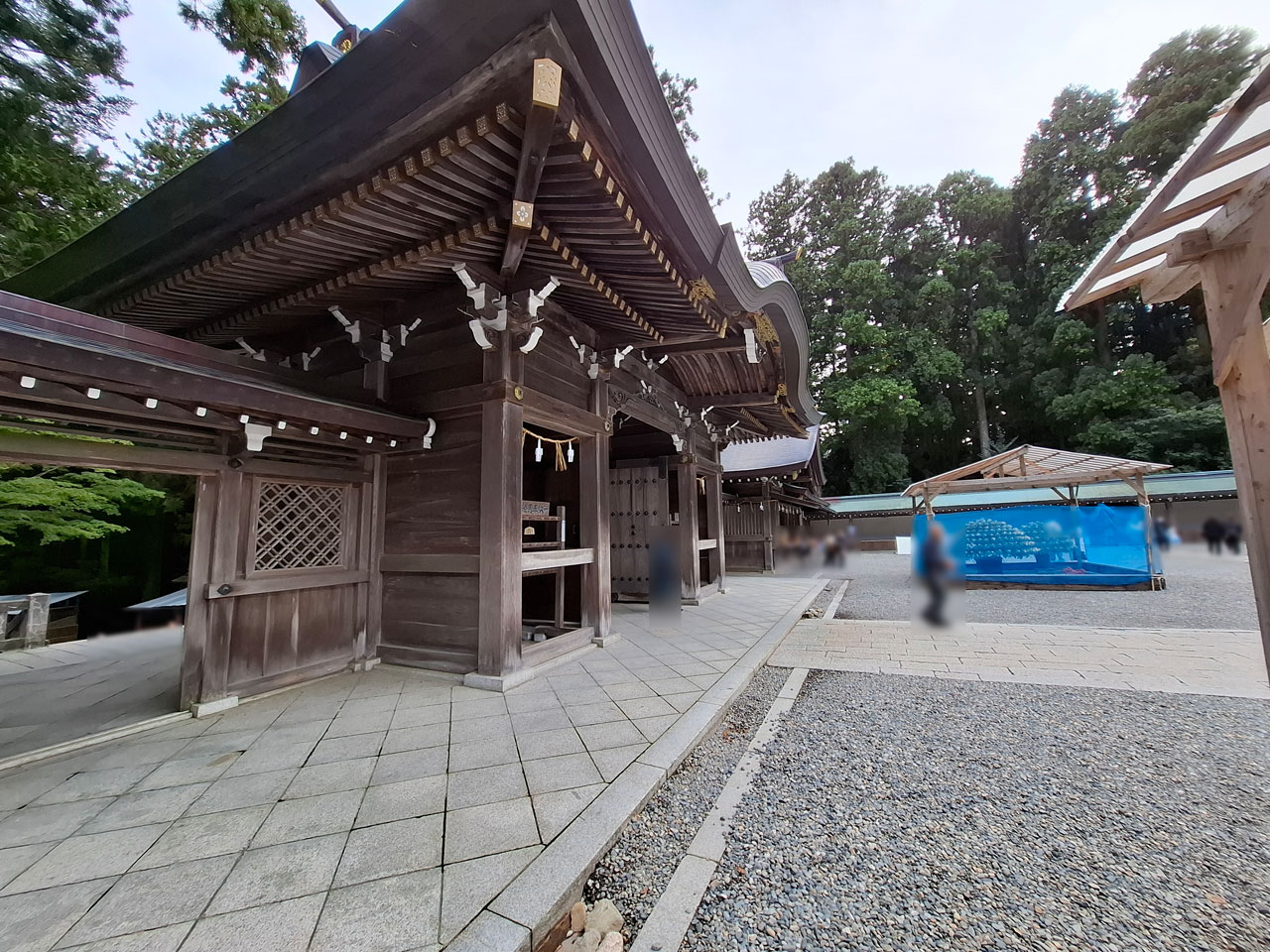 彌彦神社境内に展示されてる大菊