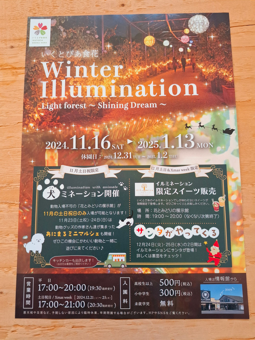 いくとぴあ食花 WINTER ILLUMINATIONの案内